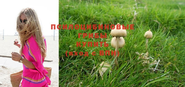 гидра Иннополис
