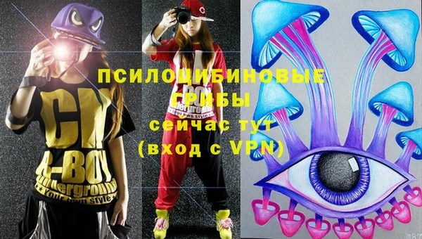 круглые Инсар