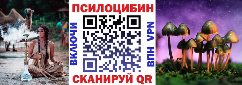Галлюциногенные грибы Cubensis Купить где Ленинск-Кузнецкий