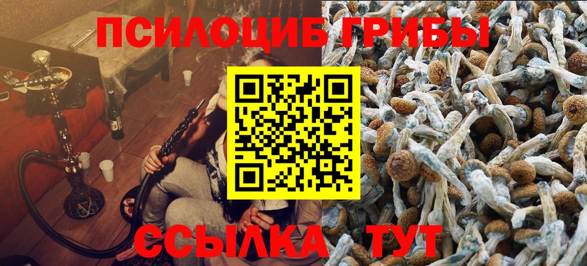 Псилоцибиновые грибы Magic Shrooms  Галлюциногенные грибы Psilocybine cubensis  Ленинск-Кузнецкий 