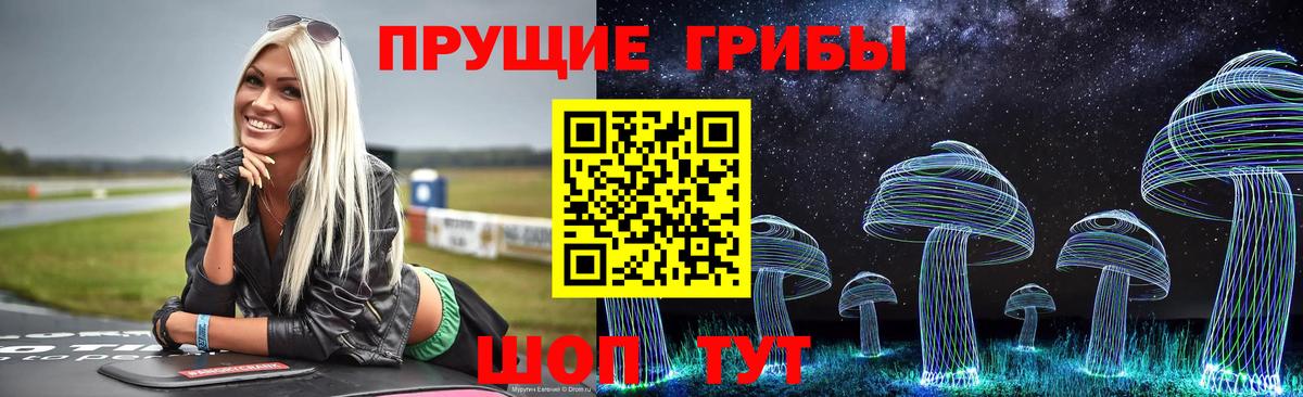 Ленинск-Кузнецкий  Галлюциногенные грибы прущие грибы  Псилоцибиновые грибы мицелий  Вход с VPN 