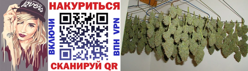 Купить где Ленинск-Кузнецкий Конопля OG Kush